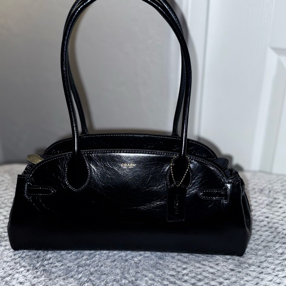 Coach Empire Caryall Bag 34